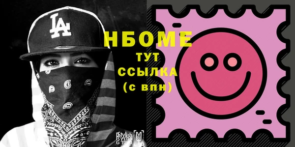 хмурый Арсеньев