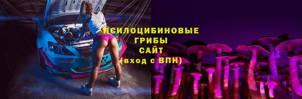 дурь Алзамай