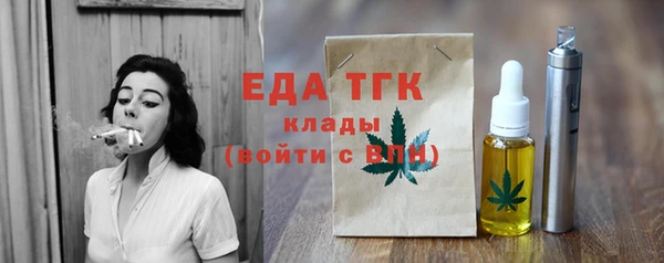 хмурый Арсеньев