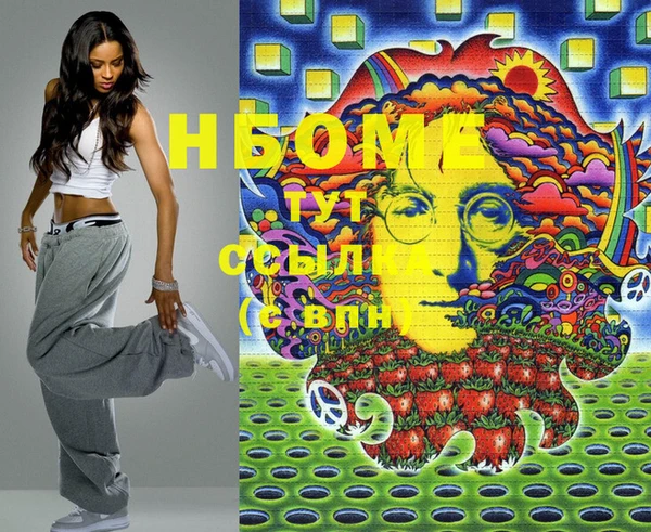 хмурый Арсеньев