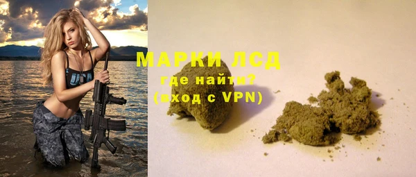 хмурый Арсеньев