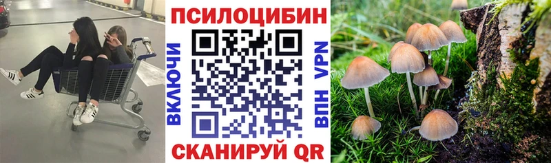 Псилоцибиновые грибы Magic Shrooms Строитель